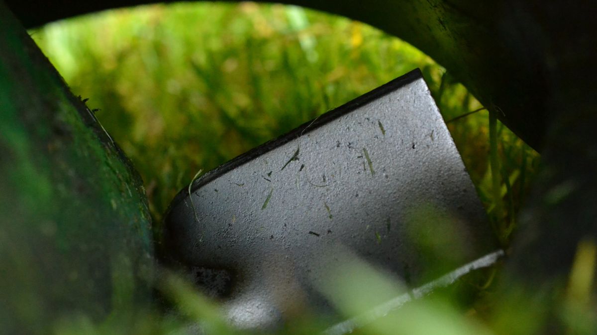 Een close-up van een nieuw grasmaaier mes dat een gazon maait.