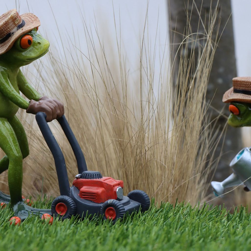 Twee kikkers aan het werk in de Tuin.